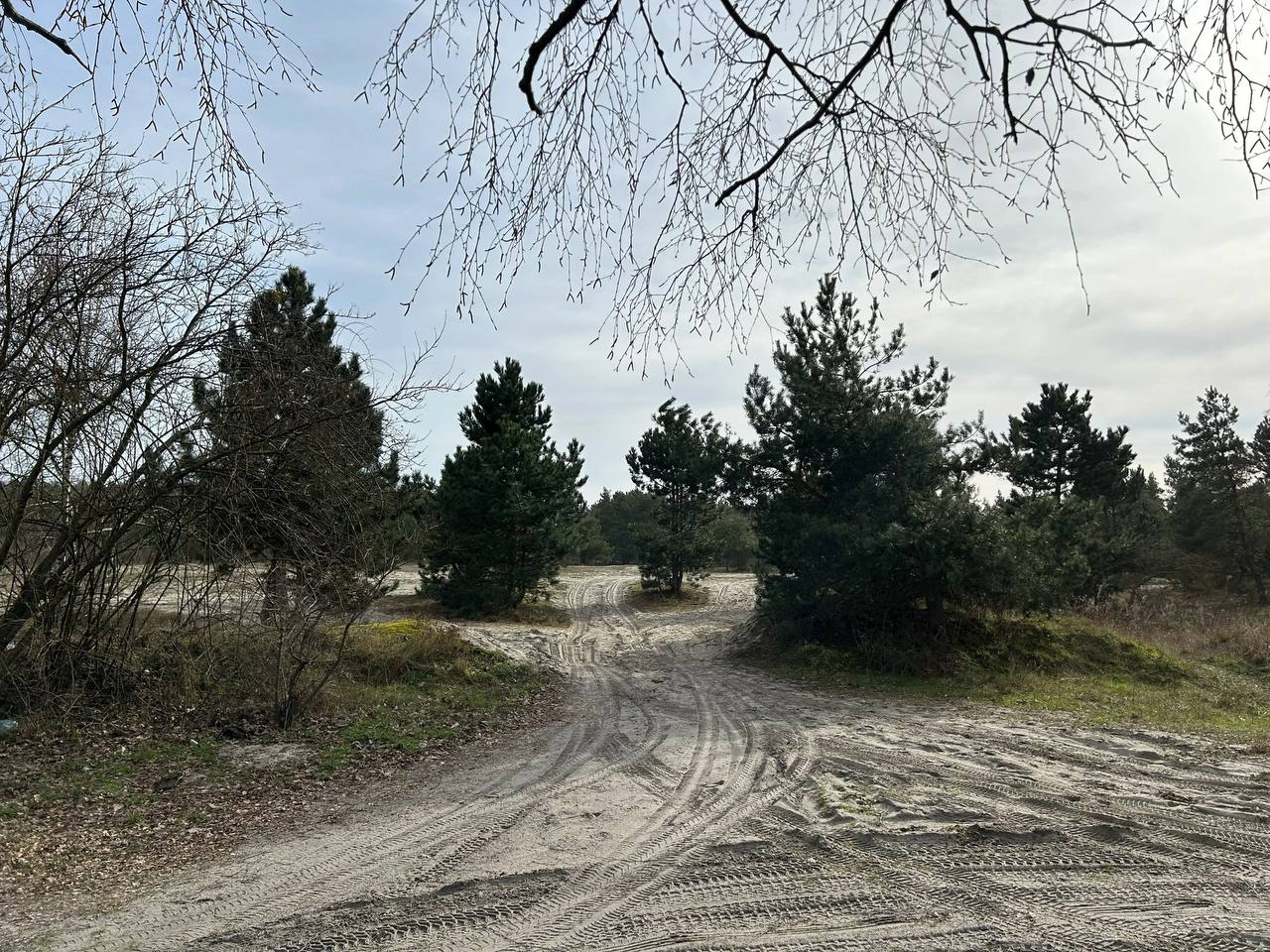 Разминирование