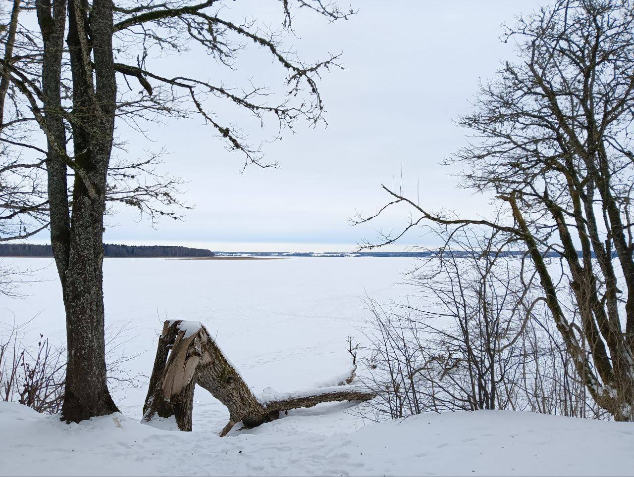 Парк Виштынецкий